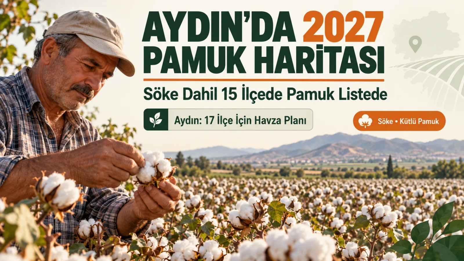 Aydın’da pamuk tarlasında ürünleri inceleyen üretici ve geniş pamuk üretim alanı.