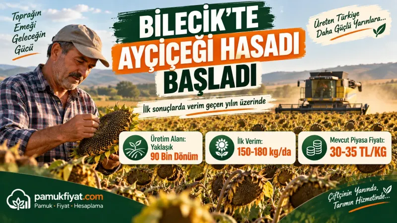 Bilecik’te hasat dönemine giren ayçiçeği tarlasında çalışan üretici ve biçerdöver.
