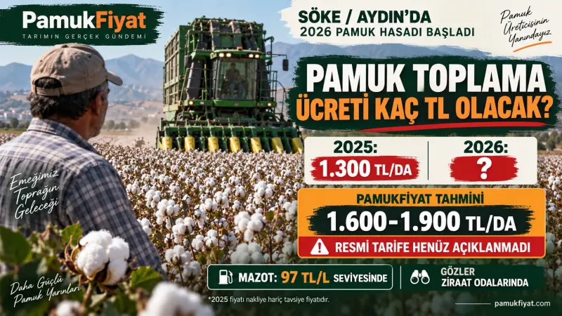 Söke Ovası’nda kütlü pamuk hasadı yapan pamuk toplama makinesi ve üretici.