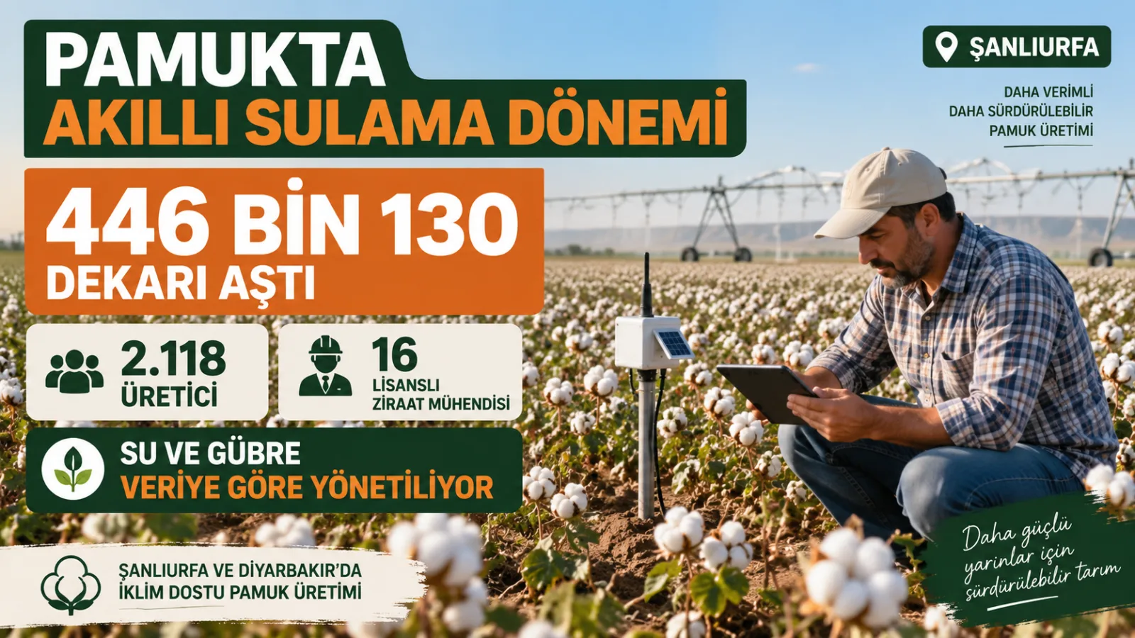 Şanlıurfa’da nem sensörleriyle sulama zamanı takip edilen pamuk tarlası.