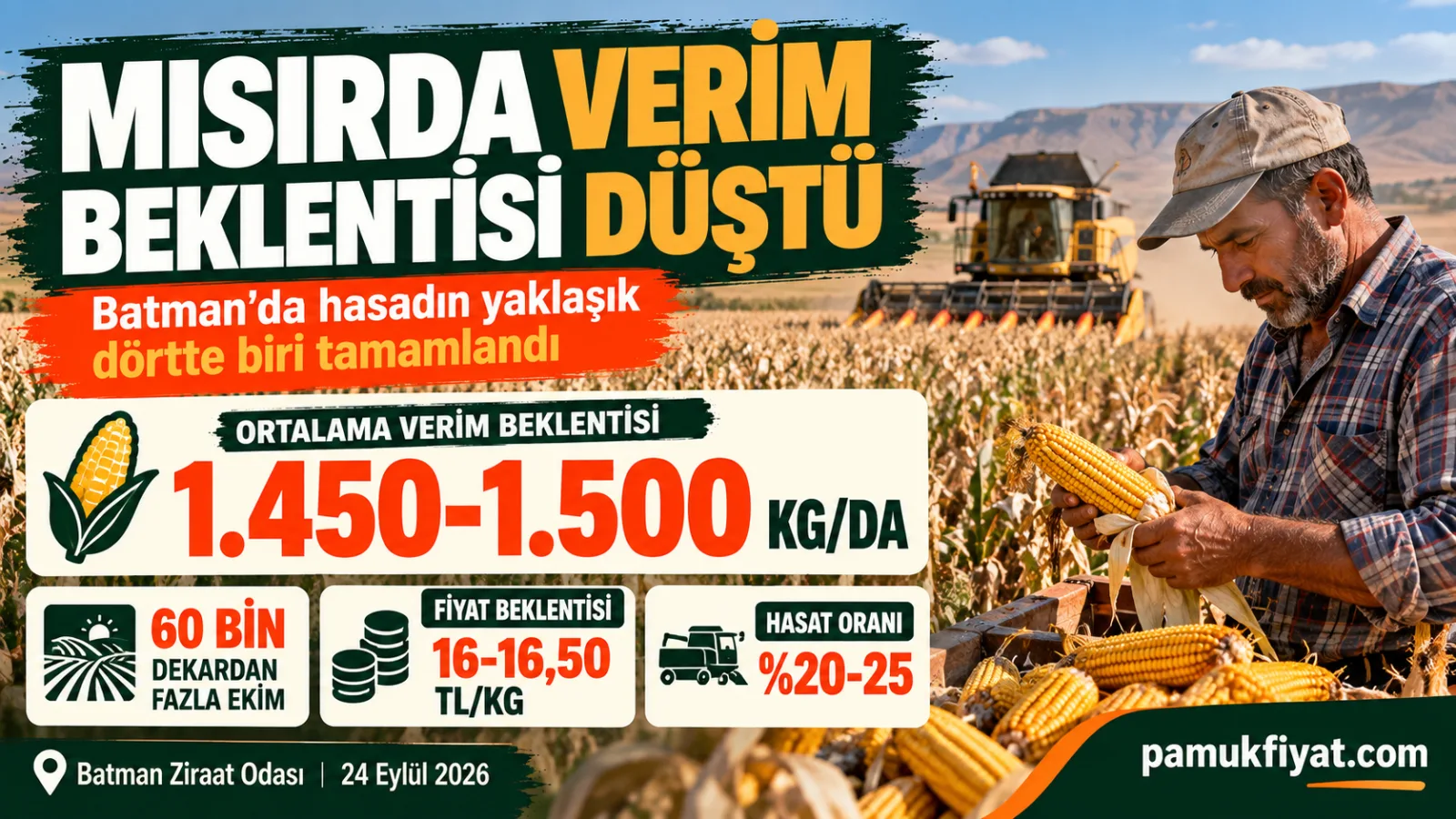 Batman’da mısır hasadı sürerken ortalama verimin 1.450-1.500 kg/da olması bekleniyor.