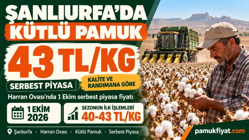 Şanlıurfa’da kütlü pamuk 1 Ekim’de serbest piyasada 43 TL/kg seviyesini gördü.