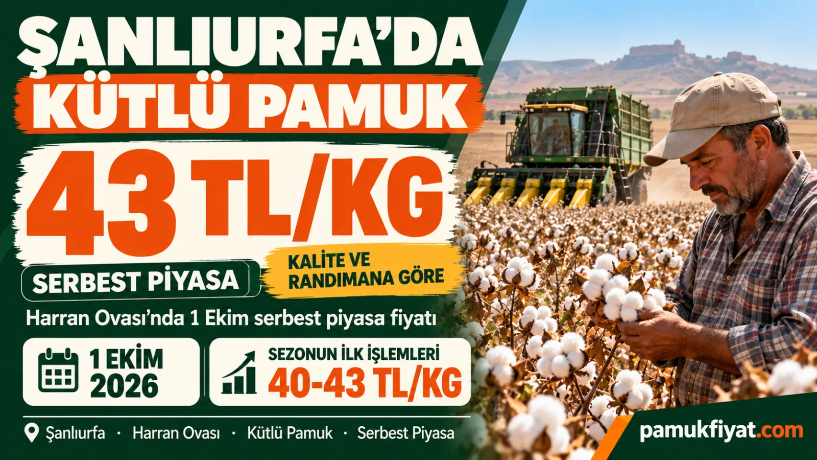 Şanlıurfa’da kütlü pamuk 1 Ekim’de serbest piyasada 43 TL/kg seviyesini gördü.