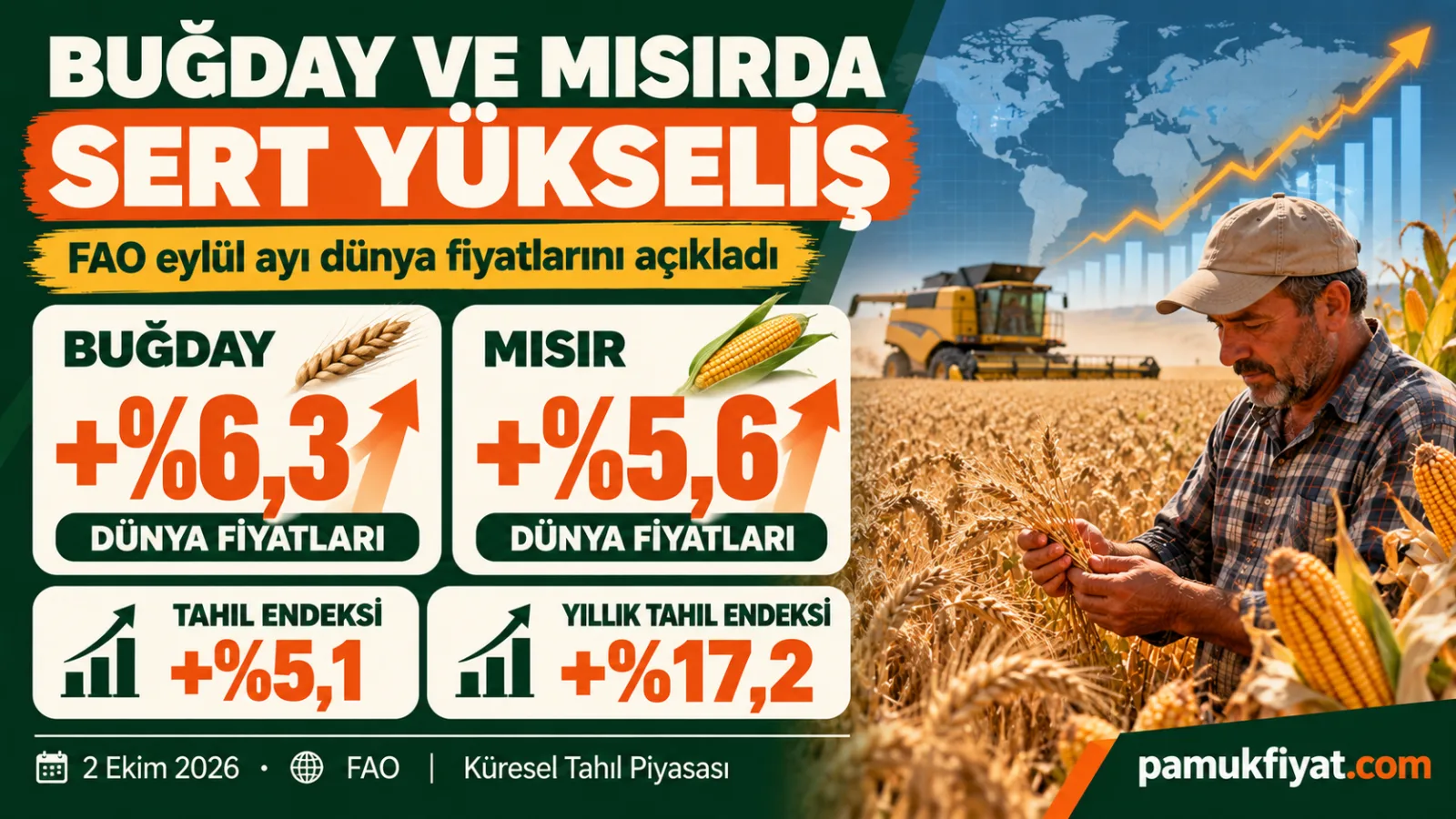 FAO verilerinde eylülde buğday fiyatları %6,3, mısır fiyatları %5,6 yükseldi.