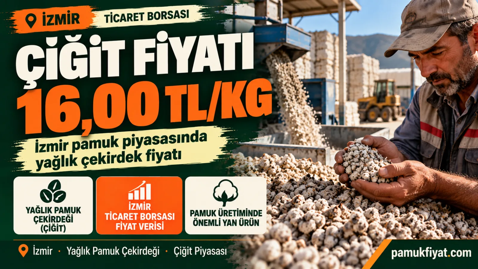 İzmir pamuk piyasasında yağlık çiğit için 16 TL/kg fiyat göstergesi.