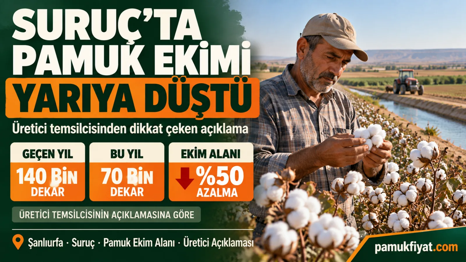 Şanlıurfa Suruç'ta üretici temsilcisine göre pamuk ekim alanı 70 bin dekara geriledi.